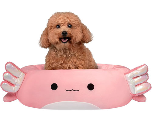 Archie the Axolotl – The Cutest Comfort for Your Pet’s Downtime
