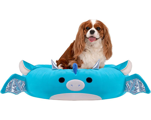 Tatiana the Dragon – A Magical Retreat for Your Furry Companion