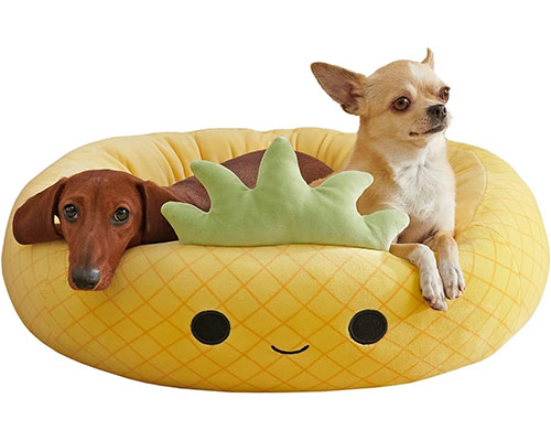 Maui the Pineapple A Cozy Tropical Escape for Your Pet