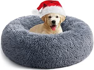 See How Small Dogs Love Their Squishmallows Pet Bed