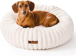 Why Small Dogs Choose Squishmallow for Ultimate Comfort