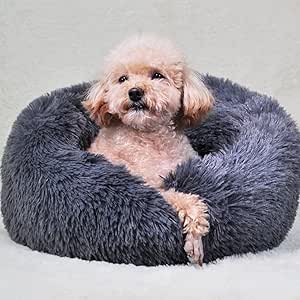 Soft, Supportive & Snug: Squishmallow Beds for Small Pups