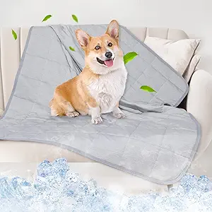 Summer Cooling Pet Bed for Conscious Pet Owners