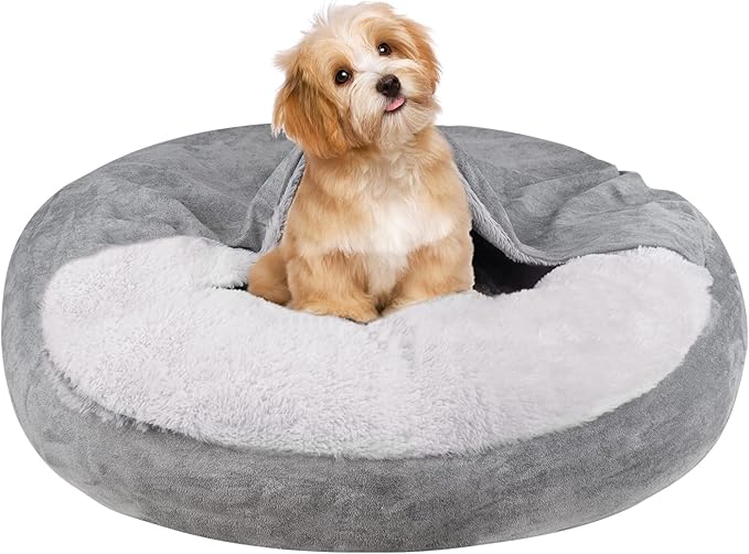 Give Your Small Dog the Gift of a Squishmallow Bed