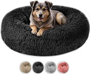 Squishmallows Pet Bed – Designed for Small Breeds