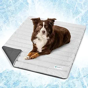 Lightweight and Foldable Summer Cooling Pet Bed for Travel