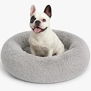 Squishmallow’s Small Dog Collection – Made for Mini Breeds