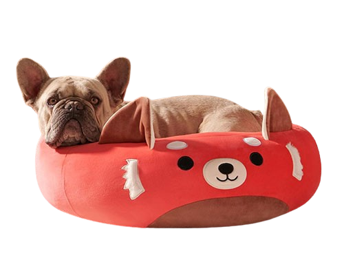 Squishmallow Pet bes Where Comfort Meets Style