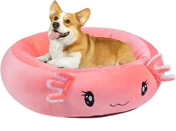 Squishmallow Pet bet Where Comfort Meets Style