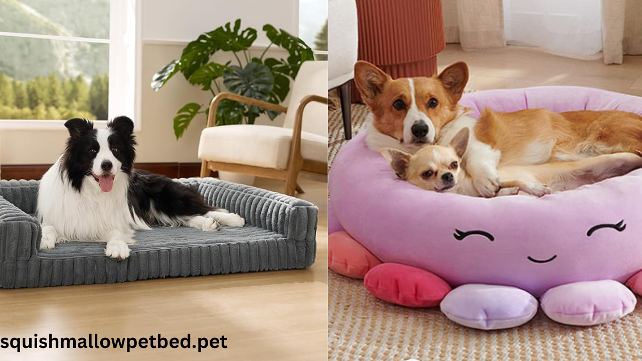 Squishmallow Dog Bed for Happy Pets in 2025